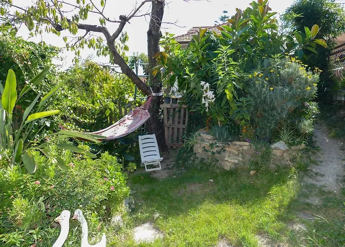 Francesca By Interhome *